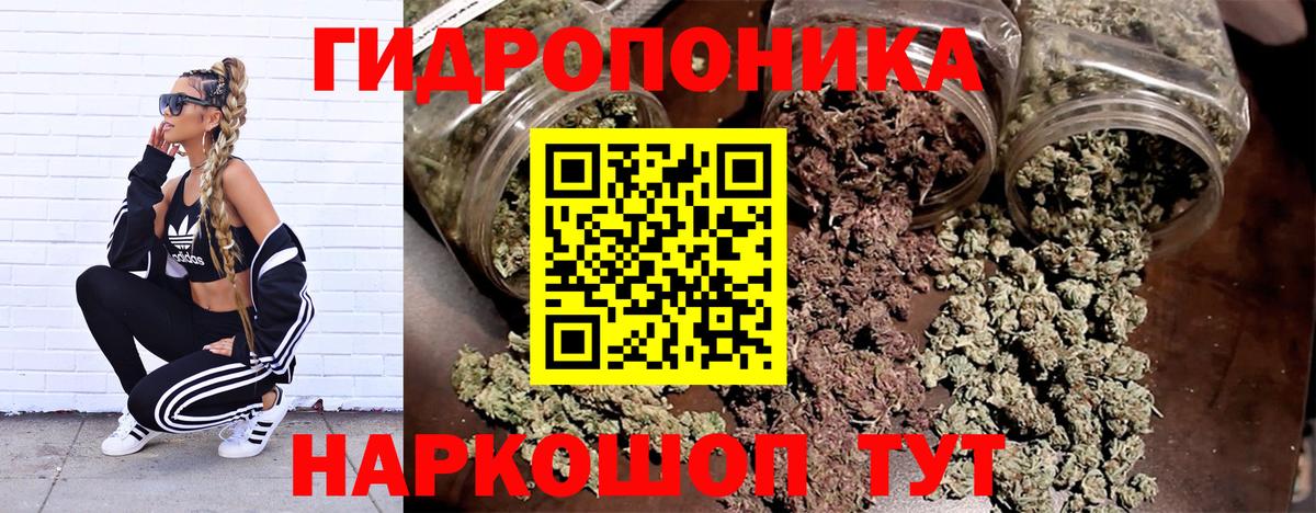 Марихуана семена Дедовск